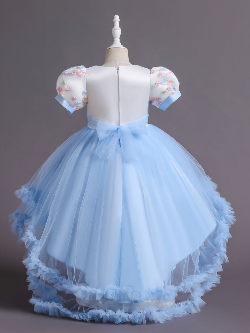 Bebis Flickor Prinsessklänning Puffärmar Blommor Broderade Mesh Tutu Klänning Bröllopsklänning Blomstertjejer Till Julafton Födelsedagsfest Barnkläder