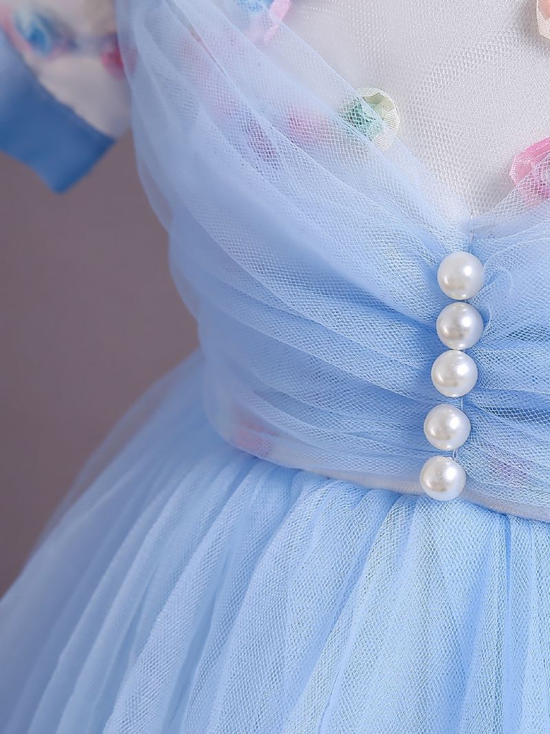 Bebis Flickor Prinsessklänning Puffärmar Blommor Broderade Mesh Tutu Klänning Bröllopsklänning Blomstertjejer Till Julafton Födelsedagsfest Barnkläder