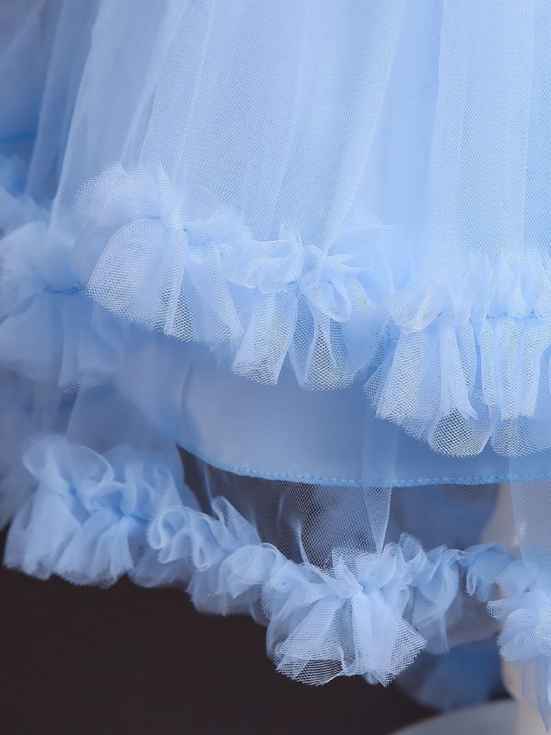 Bebis Flickor Prinsessklänning Puffärmar Blommor Broderade Mesh Tutu Klänning Bröllopsklänning Blomstertjejer Till Julafton Födelsedagsfest Barnkläder