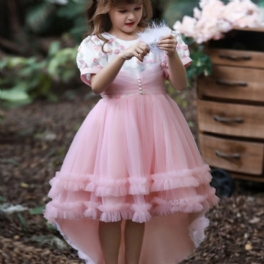 Blomstertjej Spetsklänning Pageant Barn Bröllop Julfest Klänning Mesh Princess Dress Piano Performance