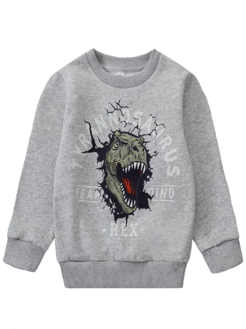 Barn Pojkar Pullover Sweatshirt Med Dinosauriemönster Barnkläder