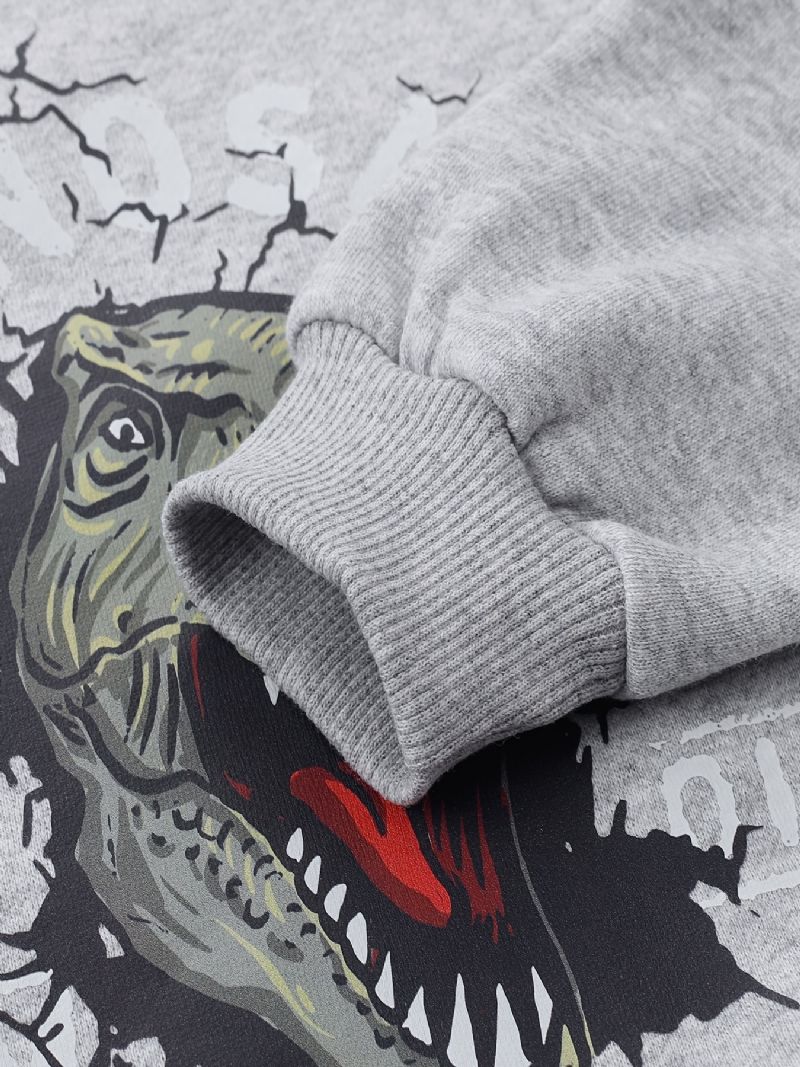 Barn Pojkar Pullover Sweatshirt Med Dinosauriemönster Barnkläder