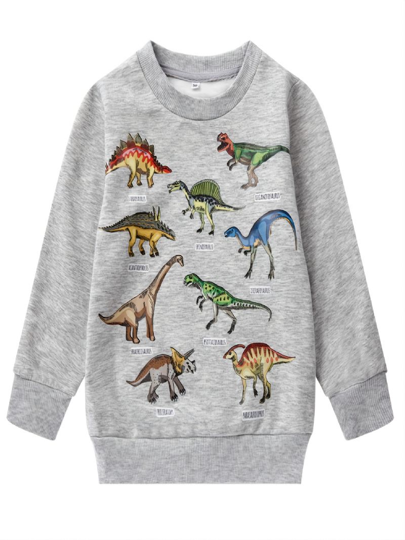 Pojkar Dinosaur Print Långärmad Rundhalsad Tröja