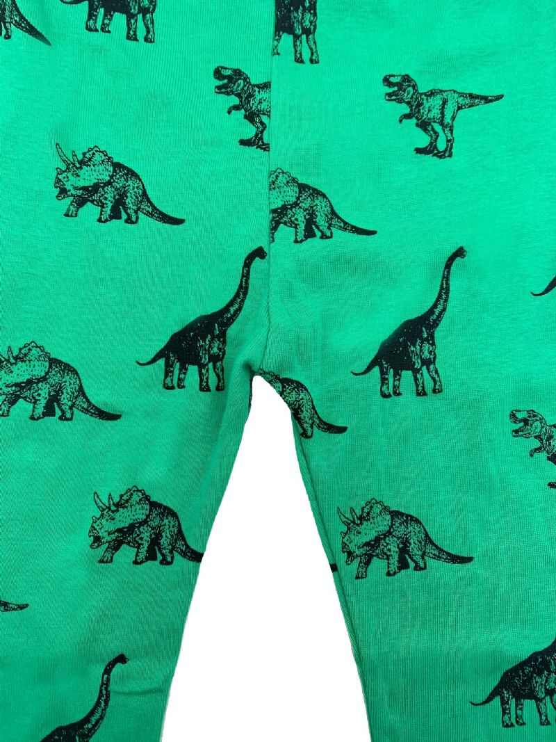 Pojkar Lounge Wear Homewear Långärmad Topp & Matchande Byxor Set Med Tecknad Dinosaurietryck Pyjamasset