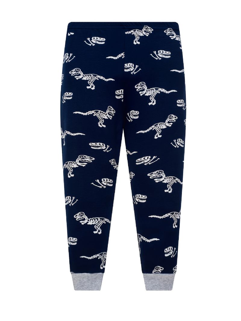 Pojkar Pyjamas Söt Dinosaurietryck Glow-in-the-dark Rundhalsad Långärmad Topp Och Byxa Set