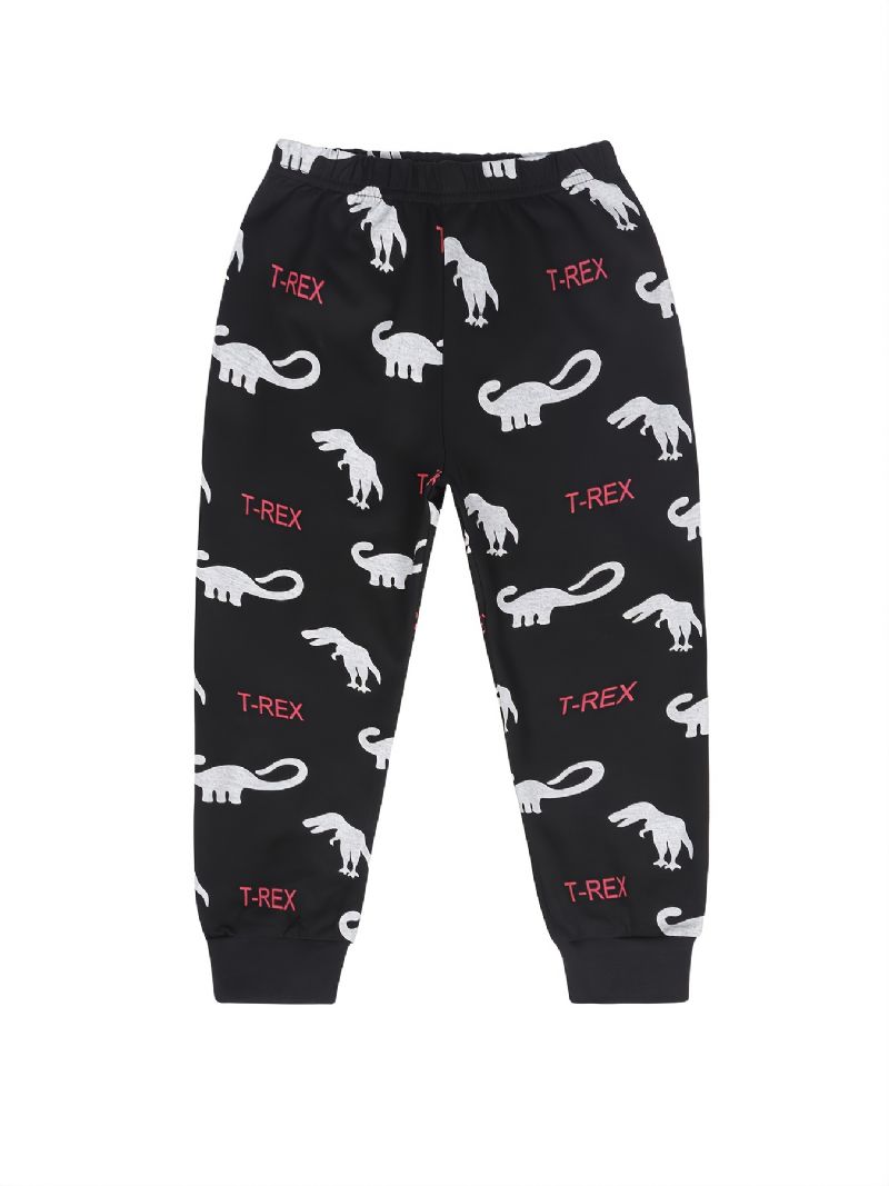 2st Barn Pojkar Pyjamas Tecknad Dinosaurietryck Rundhalsad Långärmad Topp & Byxa Set