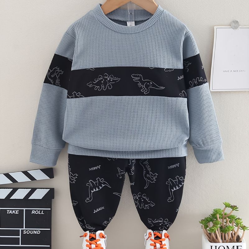 2st Bebis Dinosaur Print Splicing Pullover Rund Neck Långärmad Sweatshirt & Byxa Set För Flickor Pojkar