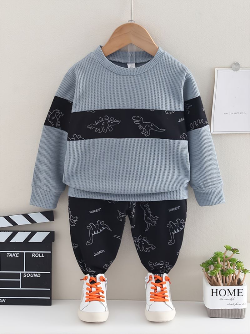 2st Bebis Dinosaur Print Splicing Pullover Rund Neck Långärmad Sweatshirt & Byxa Set För Flickor Pojkar