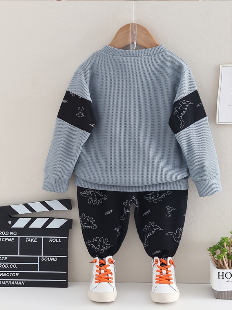 2st Bebis Dinosaur Print Splicing Pullover Rund Neck Långärmad Sweatshirt & Byxa Set För Flickor Pojkar