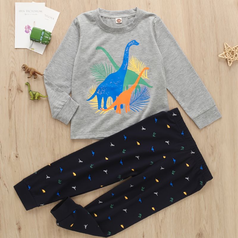 2st Pojkar Casual Dinosaur Print Långärmad Set