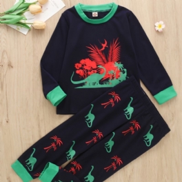 2st Pojkar Casual Dinosaur Print Långärmad Set