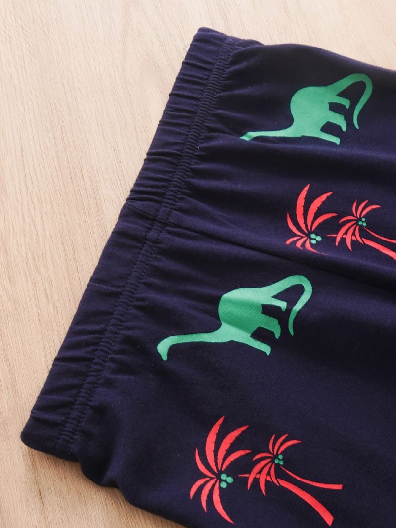 2st Pojkar Casual Dinosaur Print Långärmad Set