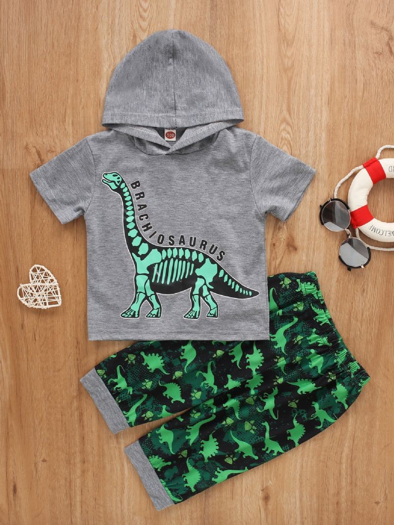 2st Pojkar Dinosaur Print Hooded Short Sleeve Set