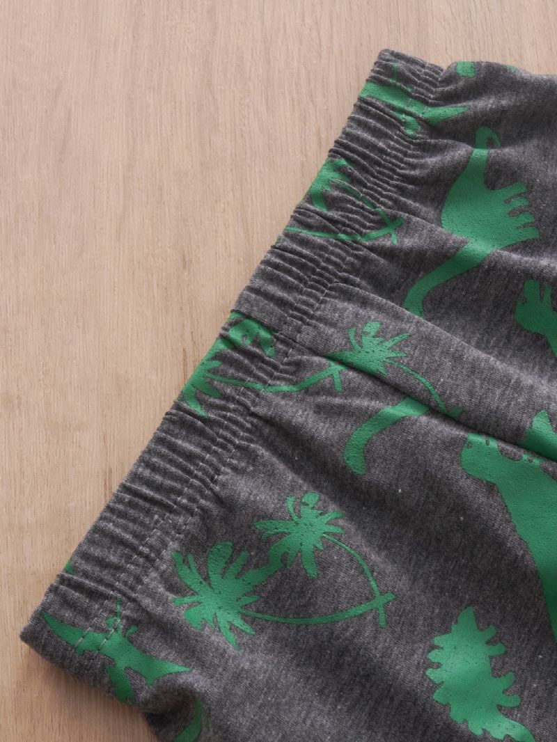 2st Pojkkläder Gröna Dinosaur Print Långärmad Casual Set