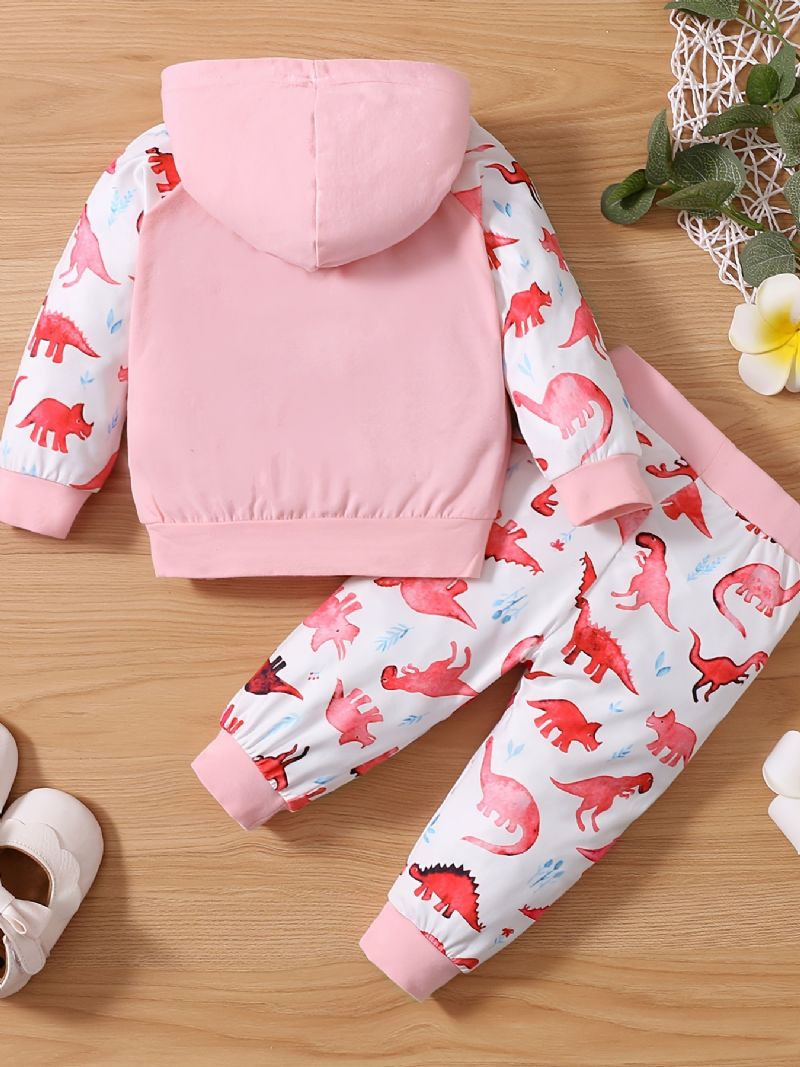 Bebis Flickor Söt Dinosaur Print Huvtröja & Byxor Set För Vintern Rosa