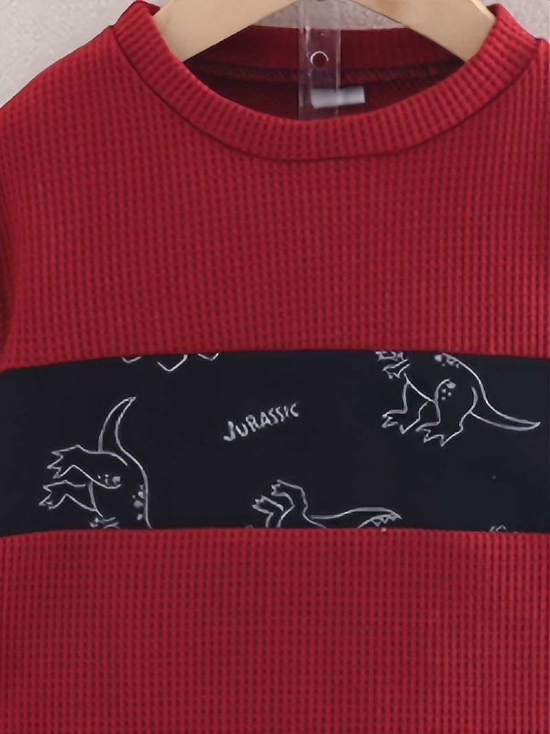 Pojkar Casual Dinosaur Tryckt Crew Neck Långärmade Sweatshirts Byxor Set Höst Vinter