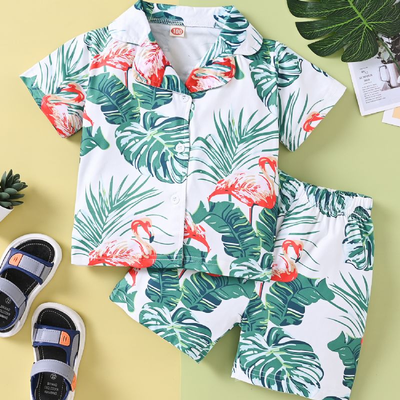 Pojkar Casual Flamingo Print Shorts Set