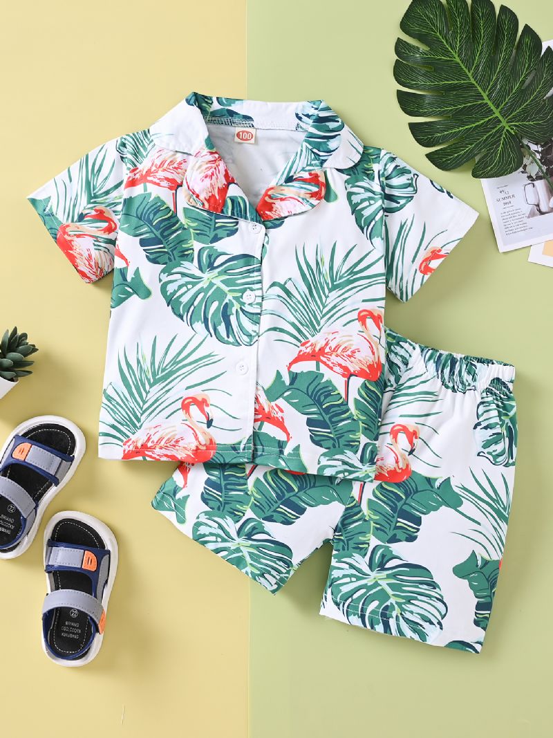 Pojkar Casual Flamingo Print Shorts Set