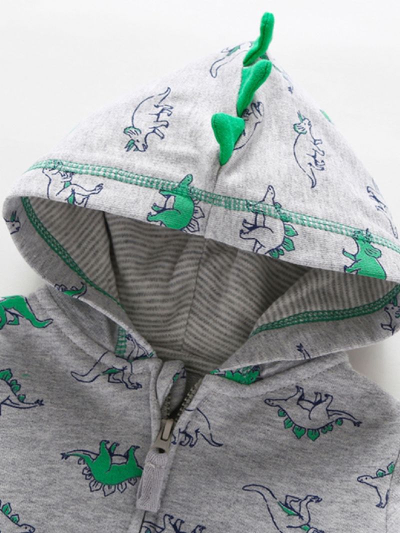 Pojkar Dinosaur Print Pocket Hood Sweatshirt